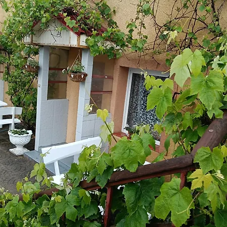 Aneta Horyzont Apartment Zarnowska